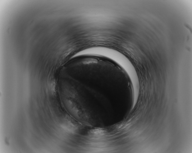 X0000095920219200801181425