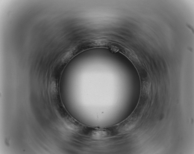 X0000095920220200801181424