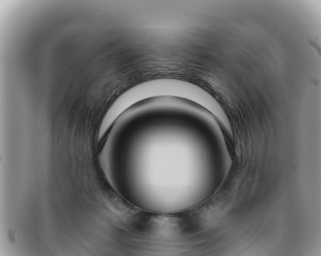 X0000095920221200801181424