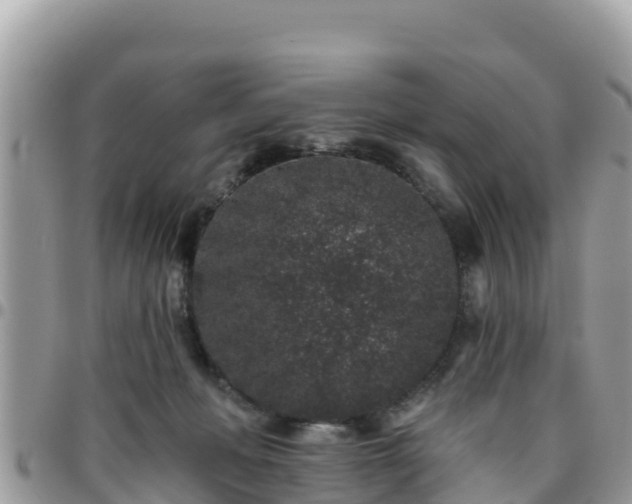 X0000095920222200801181424