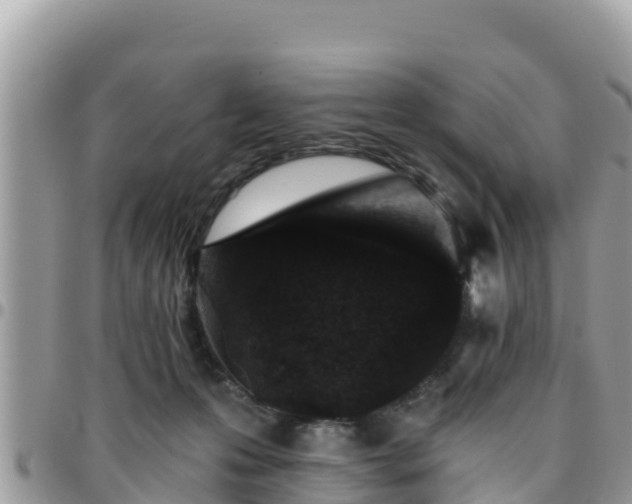 X0000095920223200801181424