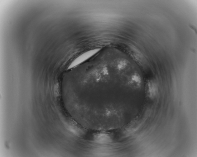 X0000095920224200801181424