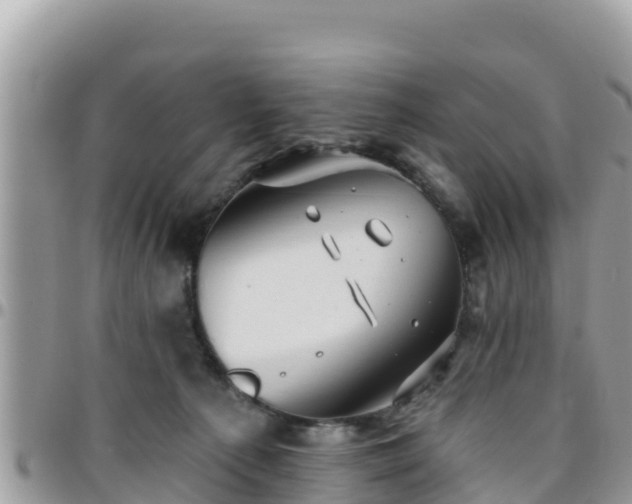 X0000095920225200801181424