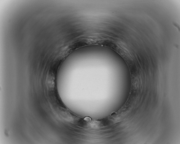 X0000095920226200801181424