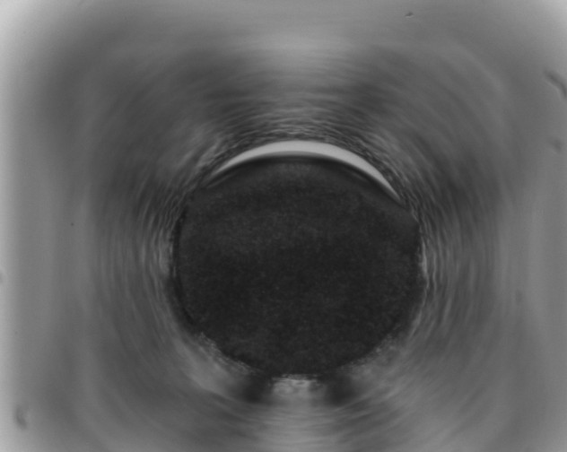 X0000095920227200801181424