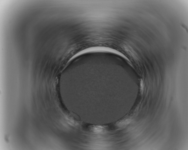 X0000095920229200801181424