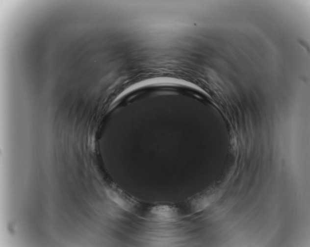 X0000095920231200801181424