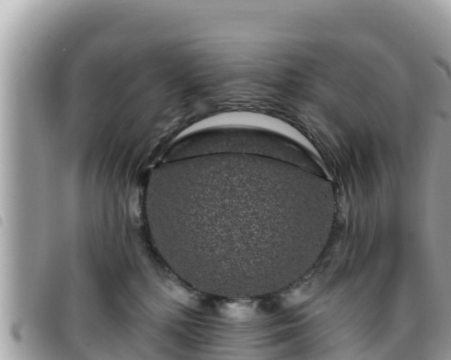 X0000095920232200801181424