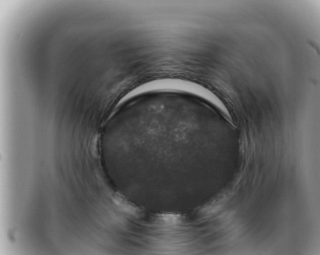 X0000095920233200801181424