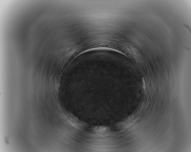 X0000095920235200801181424