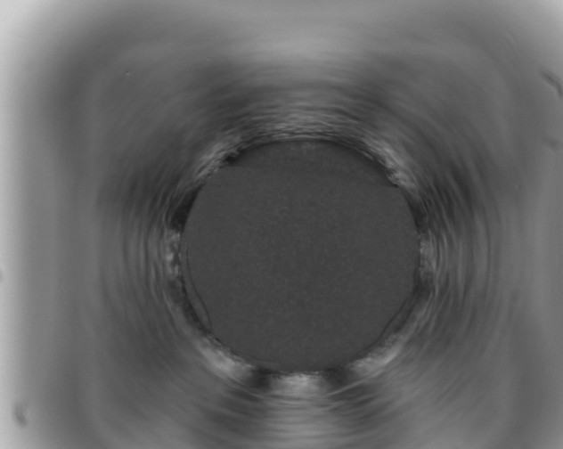 X0000095920237200801181424