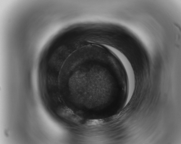 X0000095920239200801181424