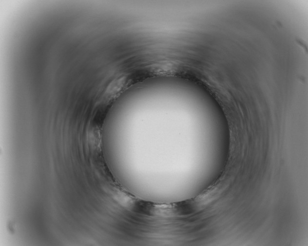 X0000095920240200801181424