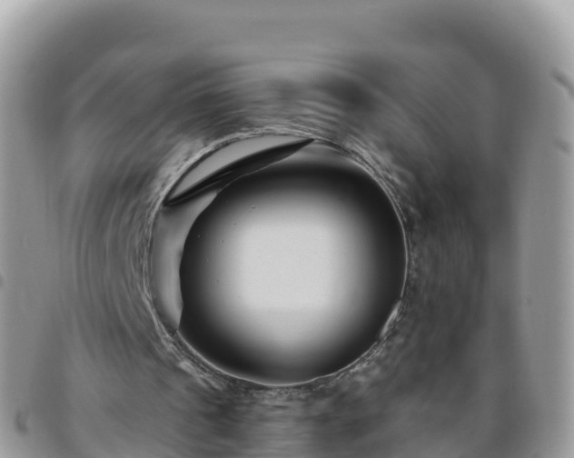 X0000095920241200801181424