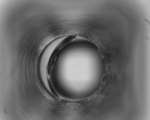 X0000095920242200801181424