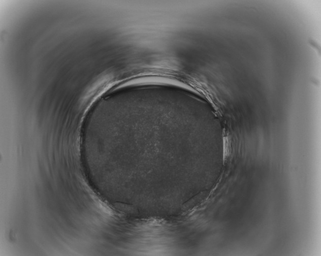 X0000095920243200801181424