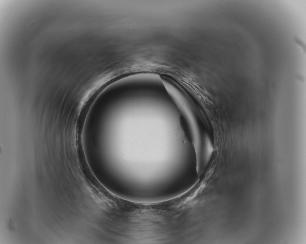 X0000095920244200801181424