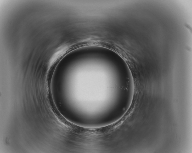 X0000095920245200801181424