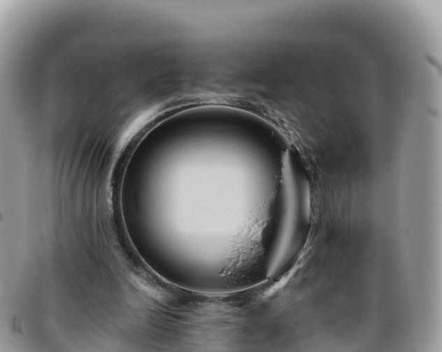 X0000095920246200801181424