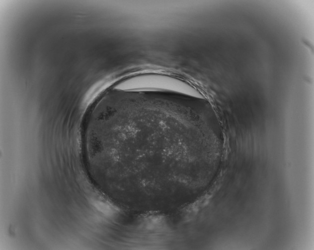 X0000095920247200801181424