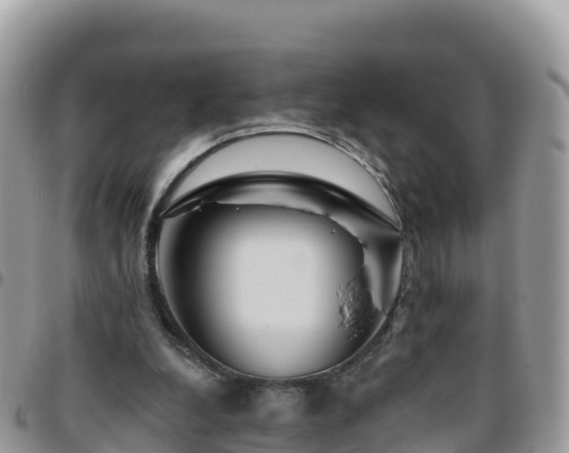 X0000095920248200801181424