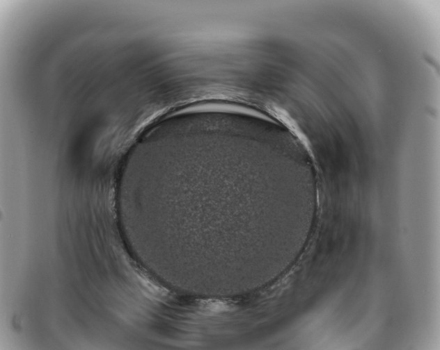 X0000095920249200801181424