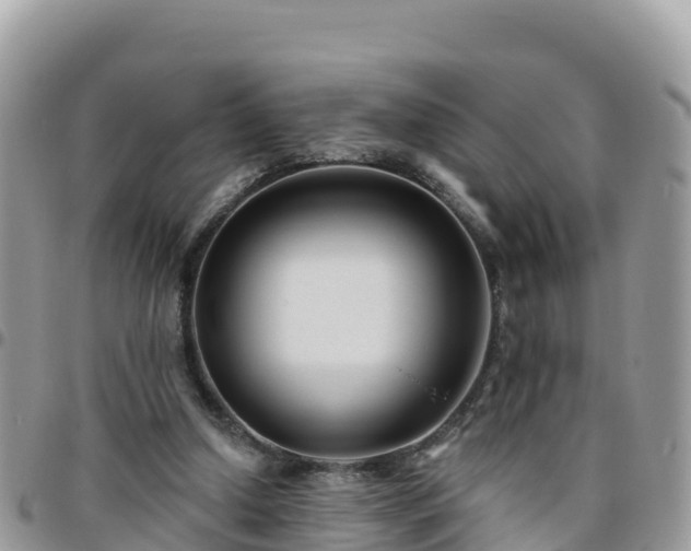 X0000095920250200801181424