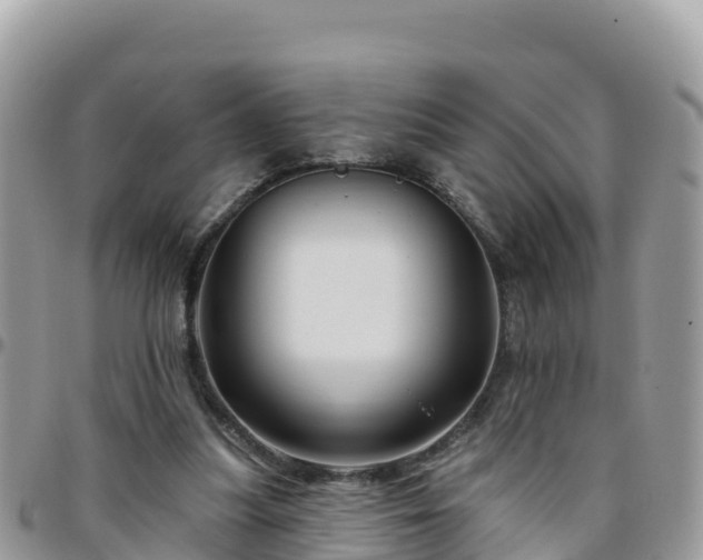 X0000095920251200801181424