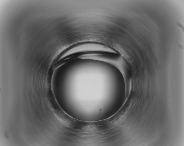 X0000095920252200801181424