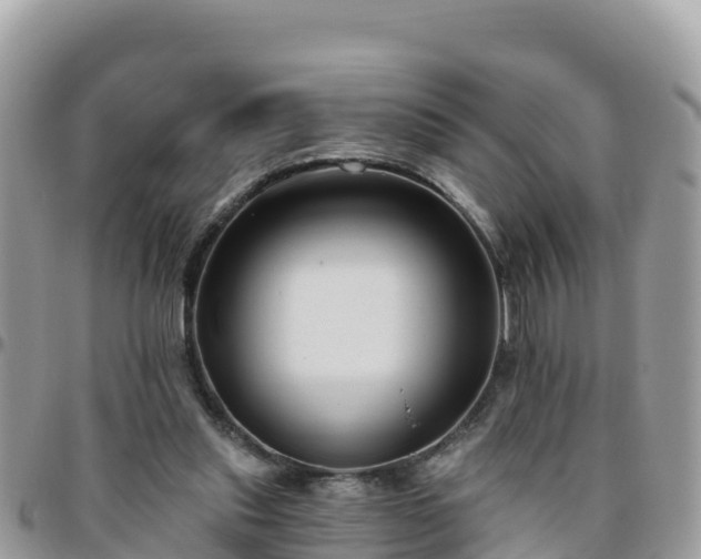 X0000095920253200801181424