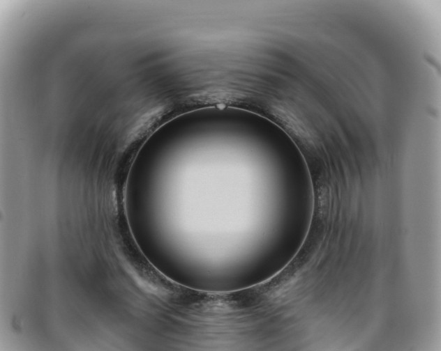 X0000095920254200801181424