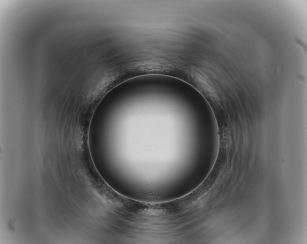 X0000095920255200801181424