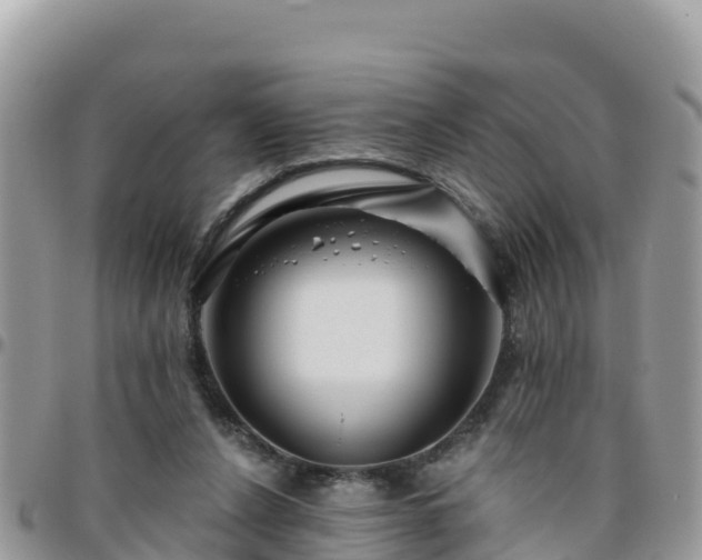 X0000095920256200801181424