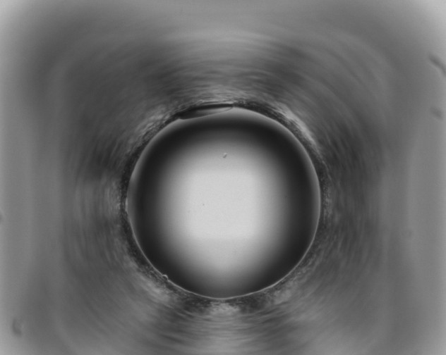 X0000095920257200801181424