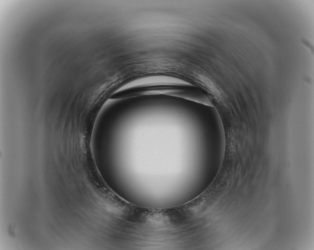 X0000095920258200801181424