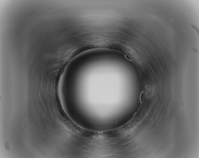 X0000095920259200801181424