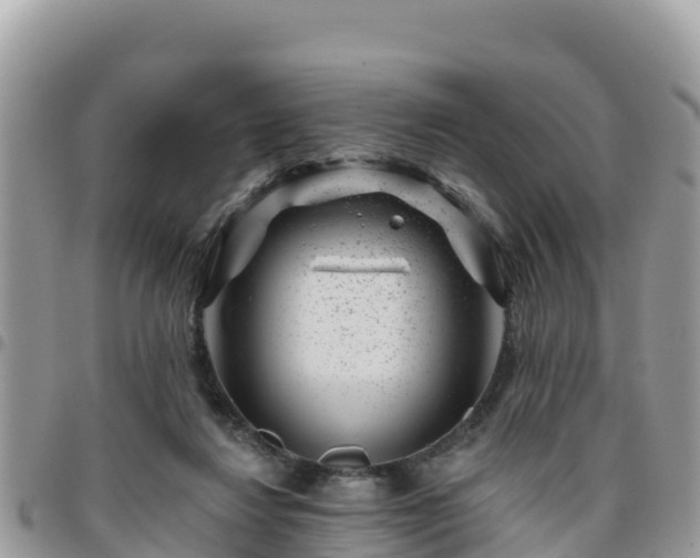 X0000095920260200801181424