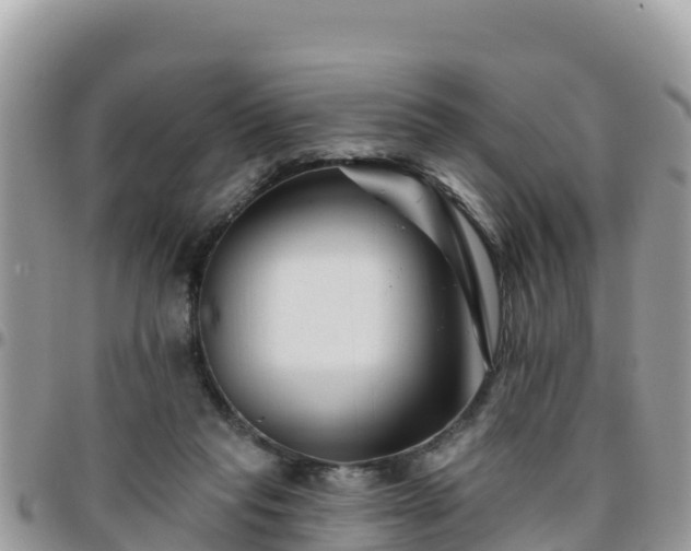 X0000095920261200801181424