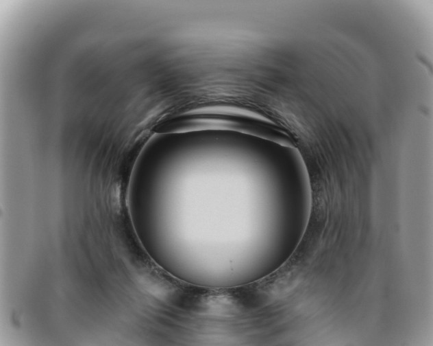 X0000095920262200801181424