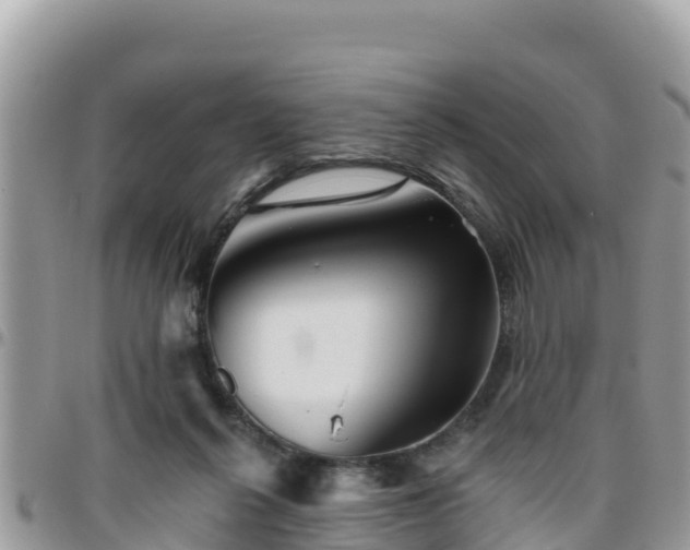 X0000095920264200801181424