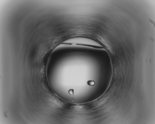 X0000095920265200801181424