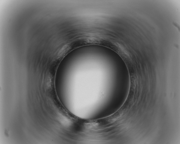 X0000095920266200801181424