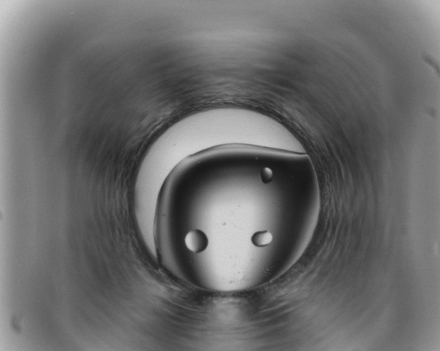 X0000095920268200801181424