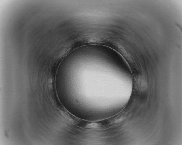 X0000095920269200801181424