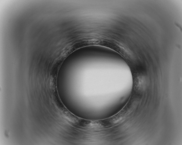 X0000095920270200801181424