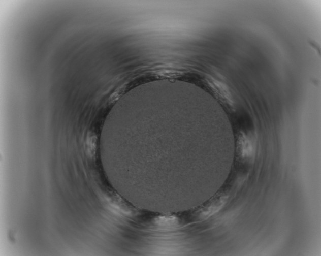 X0000095920271200801181424