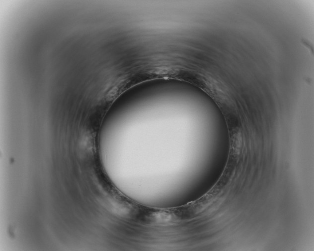 X0000095920272200801181424