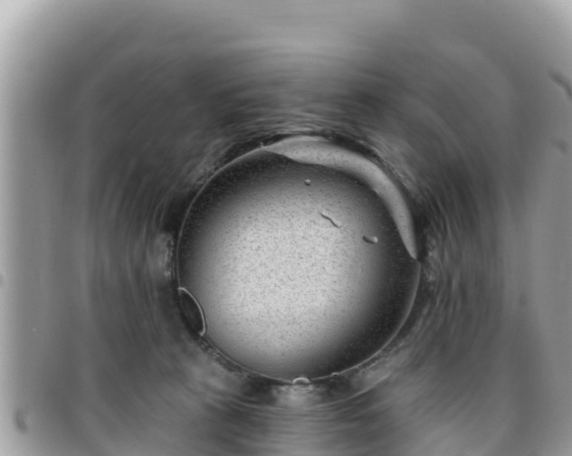 X0000095920273200801181424