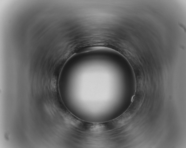 X0000095920274200801181424