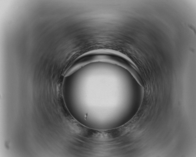 X0000095920276200801181424